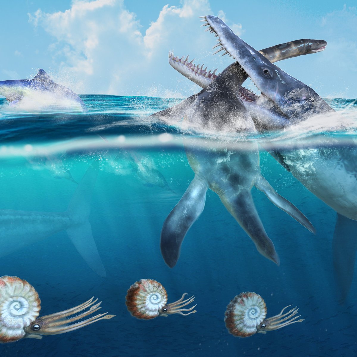 LdnRdnt's tweet photo. The Oxford Clay Sea. 

-Opthalmosaurus
-Leedsichtys 
-Ammonites
-Liopleurodon
-Cryptoclidus 
-Rhamphorynchus 
-Hybodus
-Metriorynchus
-Belemnites

#oxfordclayformation #seamonsters #ancientseareptiles #plesiosaurs #liopleurodon #pliosaur #hybodus #paleoart #jurassicperiod https://t.co/OgHMmDfUBR