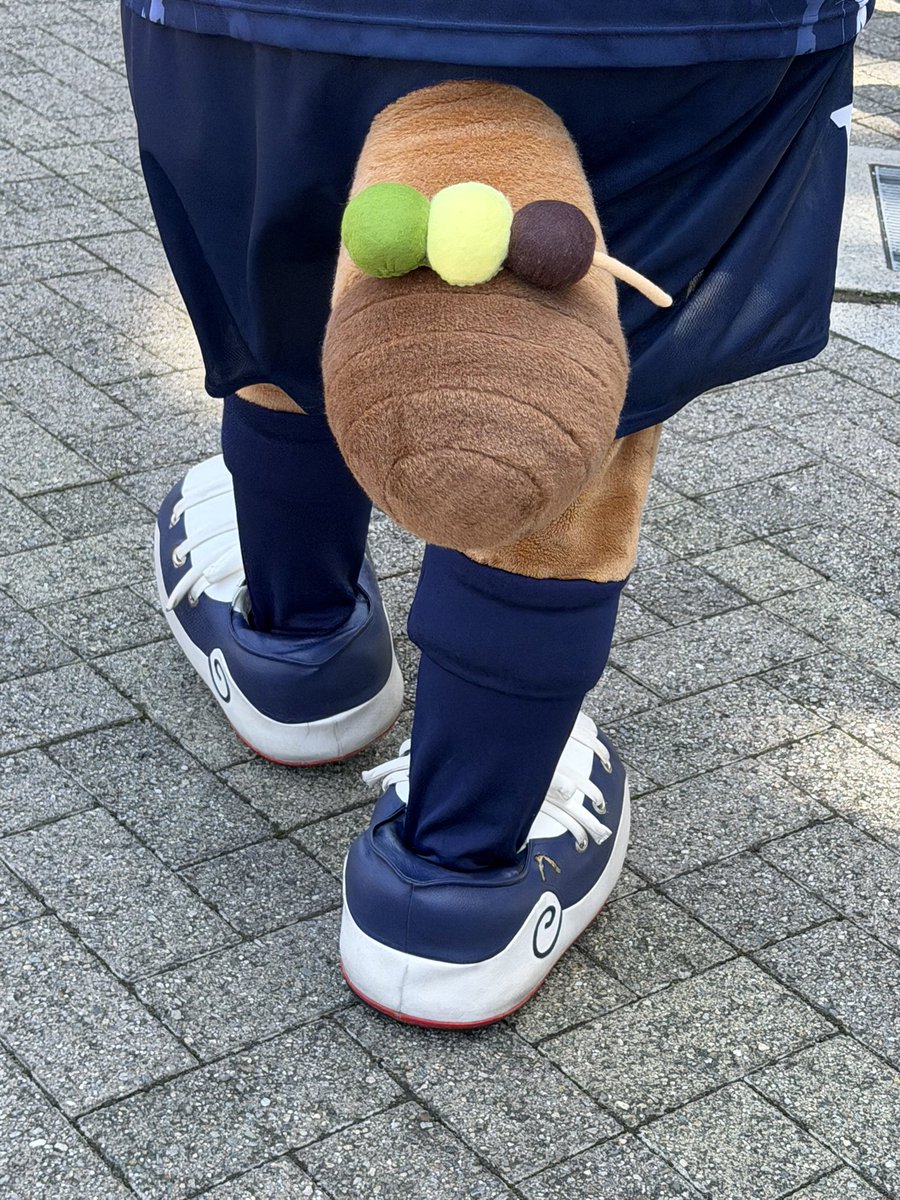 ヴォルタくんときどきティスちゃん tweet media
