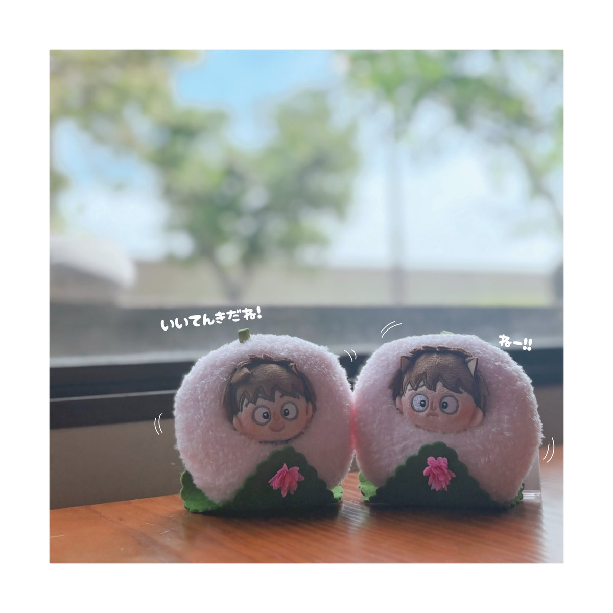 mwr_rr811's tweet photo. 𓂃🌸𓈒𓏸

#rkrnぬい撮り部
#ほわぬいといっしょ https://t.co/kmvCCl0uOU