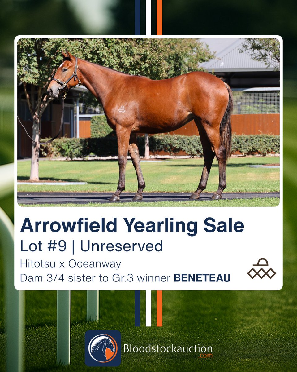 Bloodstockauction.com tweet media