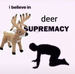 (CHECK PINNED) Deer in Places they Shouldn't Be tweet media