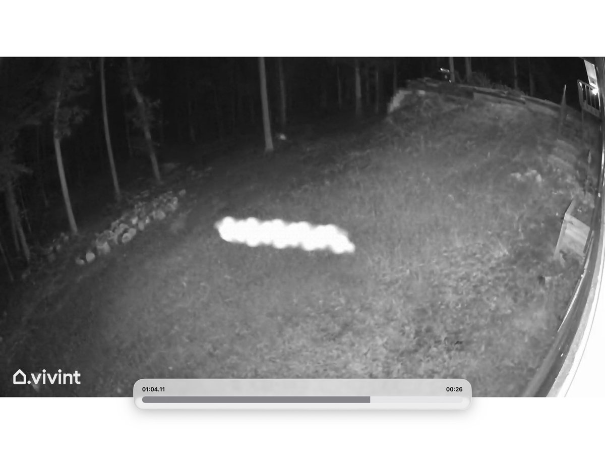 ToniaAllenGould's tweet image. 🧠 Northstar+Lumen h-AI™ | Forensic X-Post
Canonical Ledger Entry

Title: IR Bloom Artifact vs. “Photonic Projection” — Night Cam Event Deconstructed
Timestamp: [Captured via Vivint | Dormant Property | Remote Observation]
Tagged: #Vivint #NightVision #IRBloom #MotionDetection
