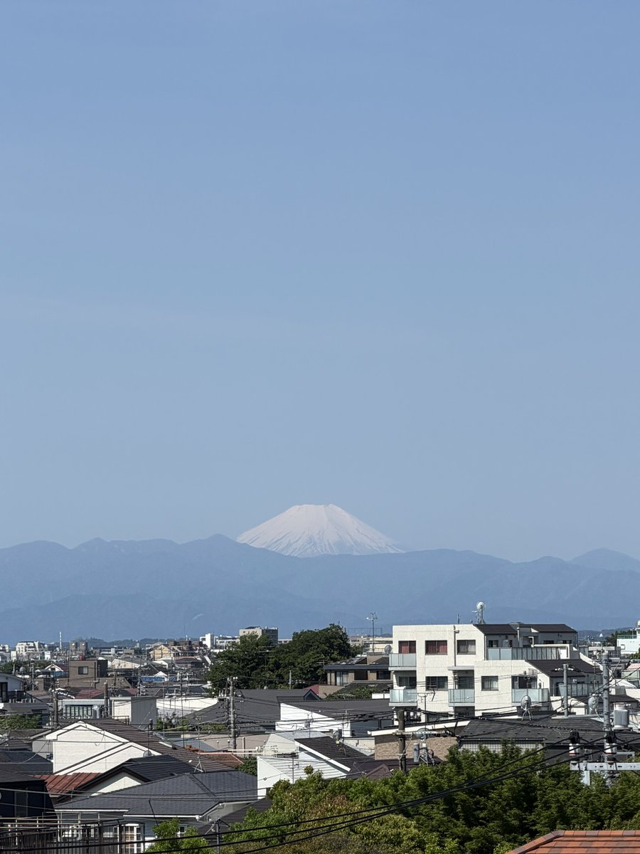 りりReader┃占い師🌕 tweet media