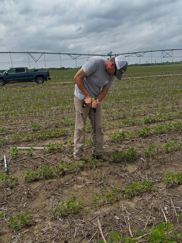 MSU Extension tweet media