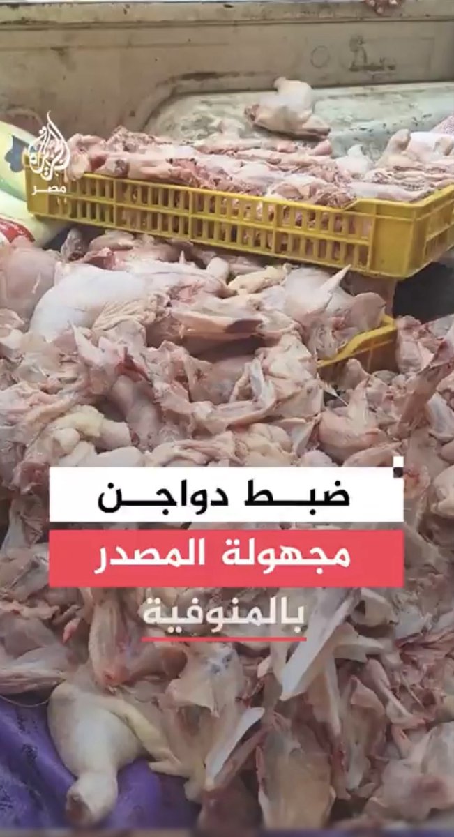 بو جمعان 🇰🇼🇰🇼 tweet media