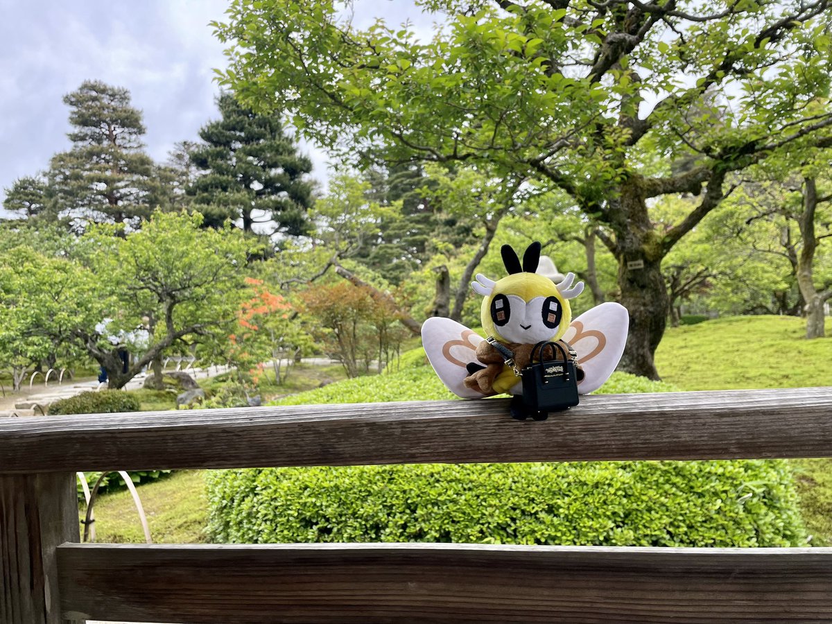 梅トマト🍅低浮上中 tweet media