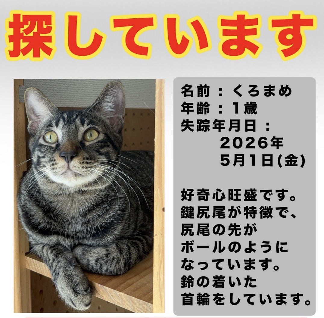 春日井さくら猫の会🐈‍⬛(仮) tweet media