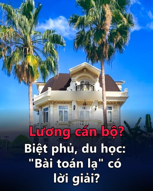 Manh Hung Dao tweet media