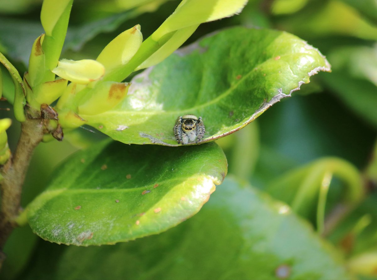zod5ur3's tweet image. #photography #Canon #EOS7D #EOS7DMk2