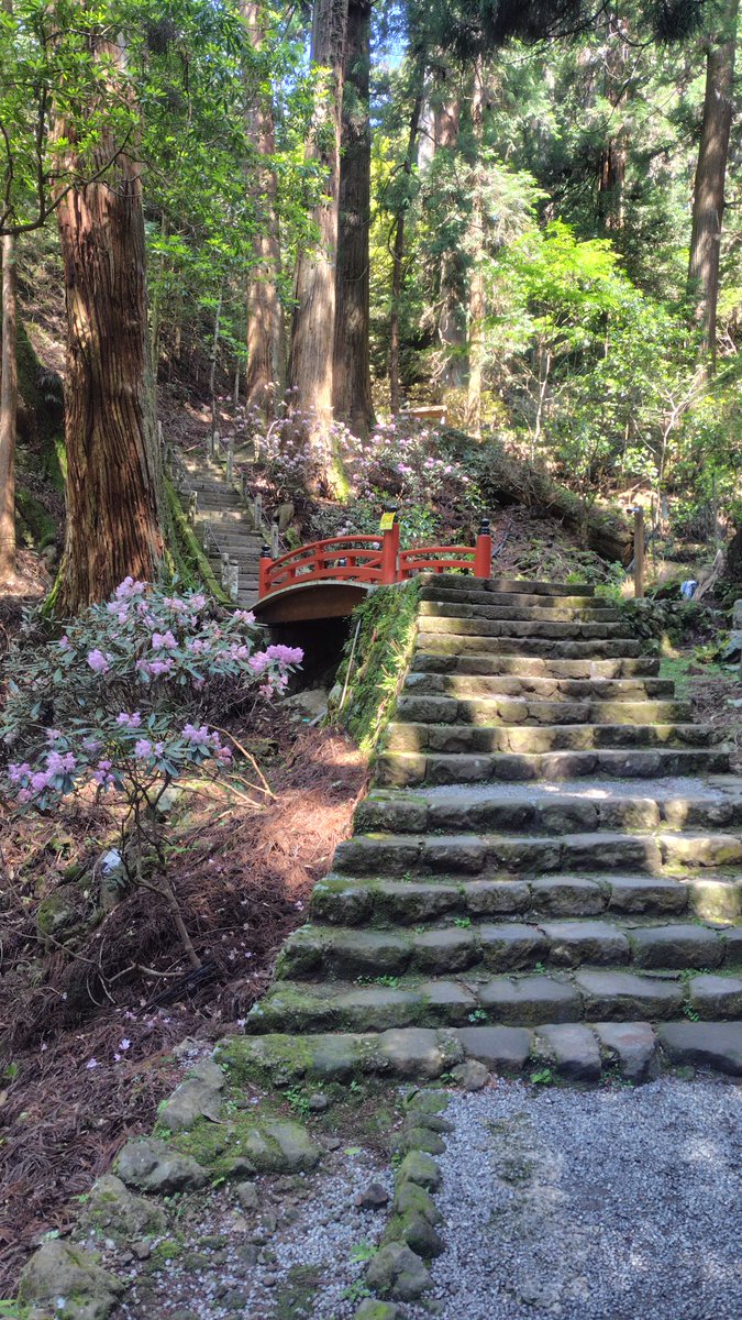 みもれ🌷 tweet media
