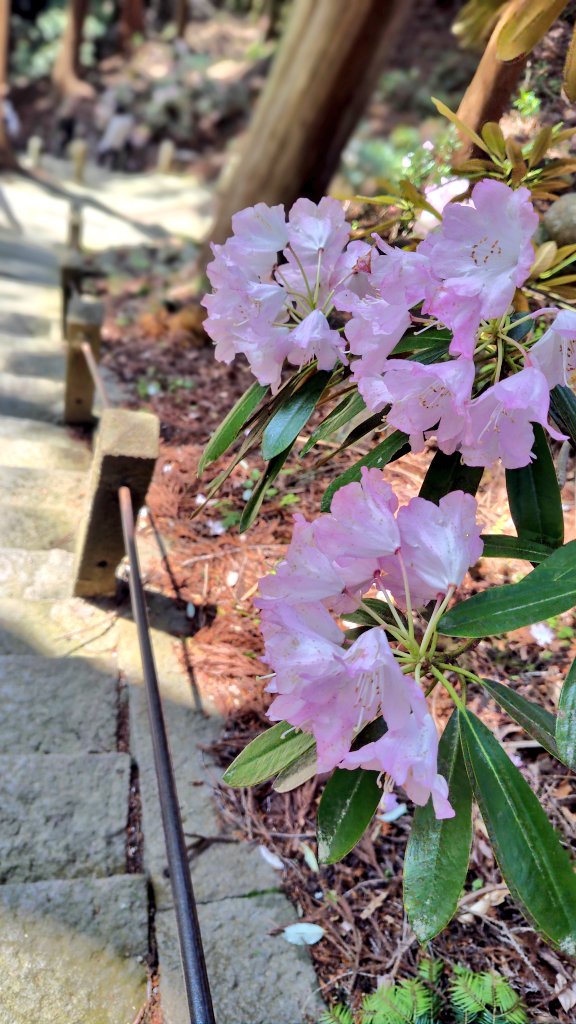 みもれ🌷 tweet media