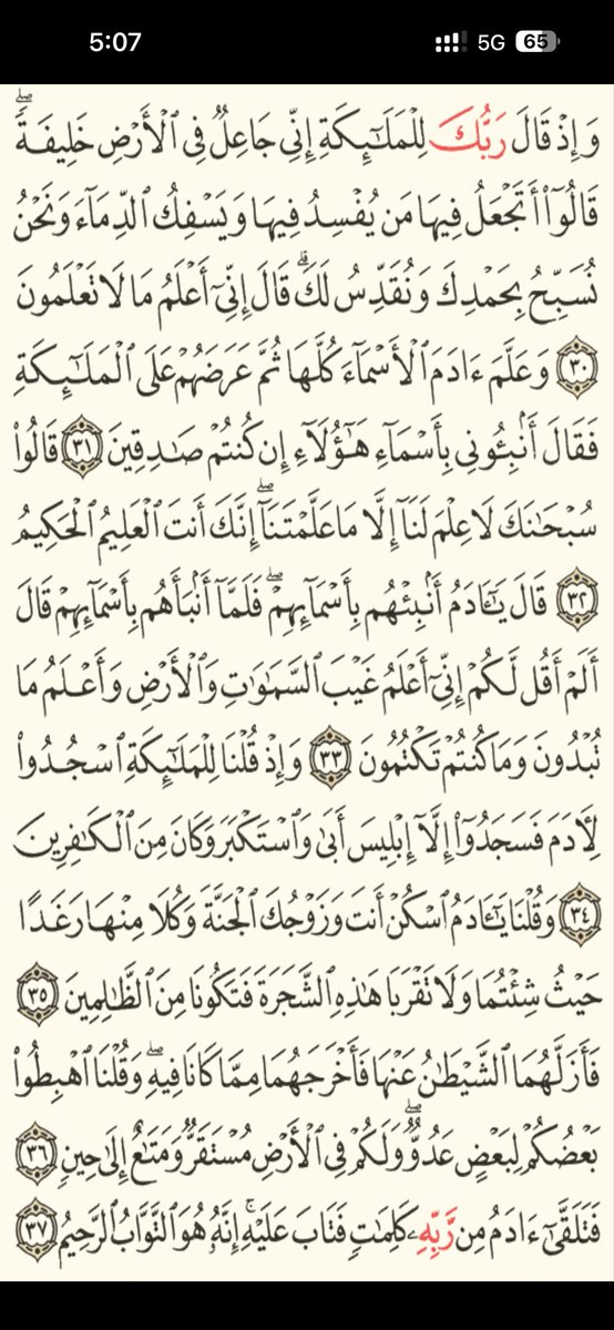 Quran tweet media