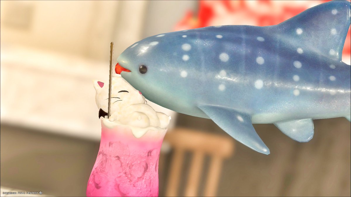 ff14_ridere's tweet image. 『すべてプランクトン』と言い張って何でも食べる🦈
大きいお口も小さいお口もかわいいね♡