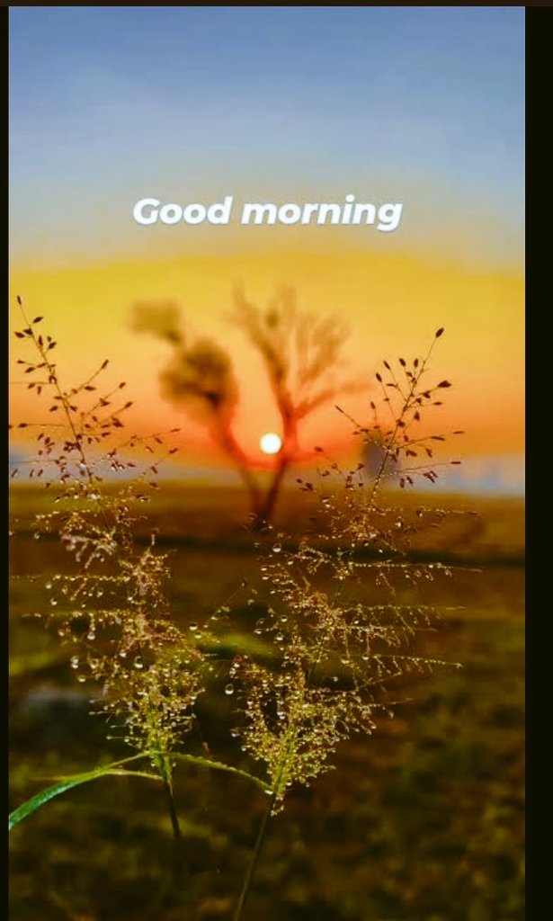 anilya550's tweet image. Good morning 

Every morning gives you a fresh page what you write today becomes your story tomorrow. Don’t wait, start now.

#morning