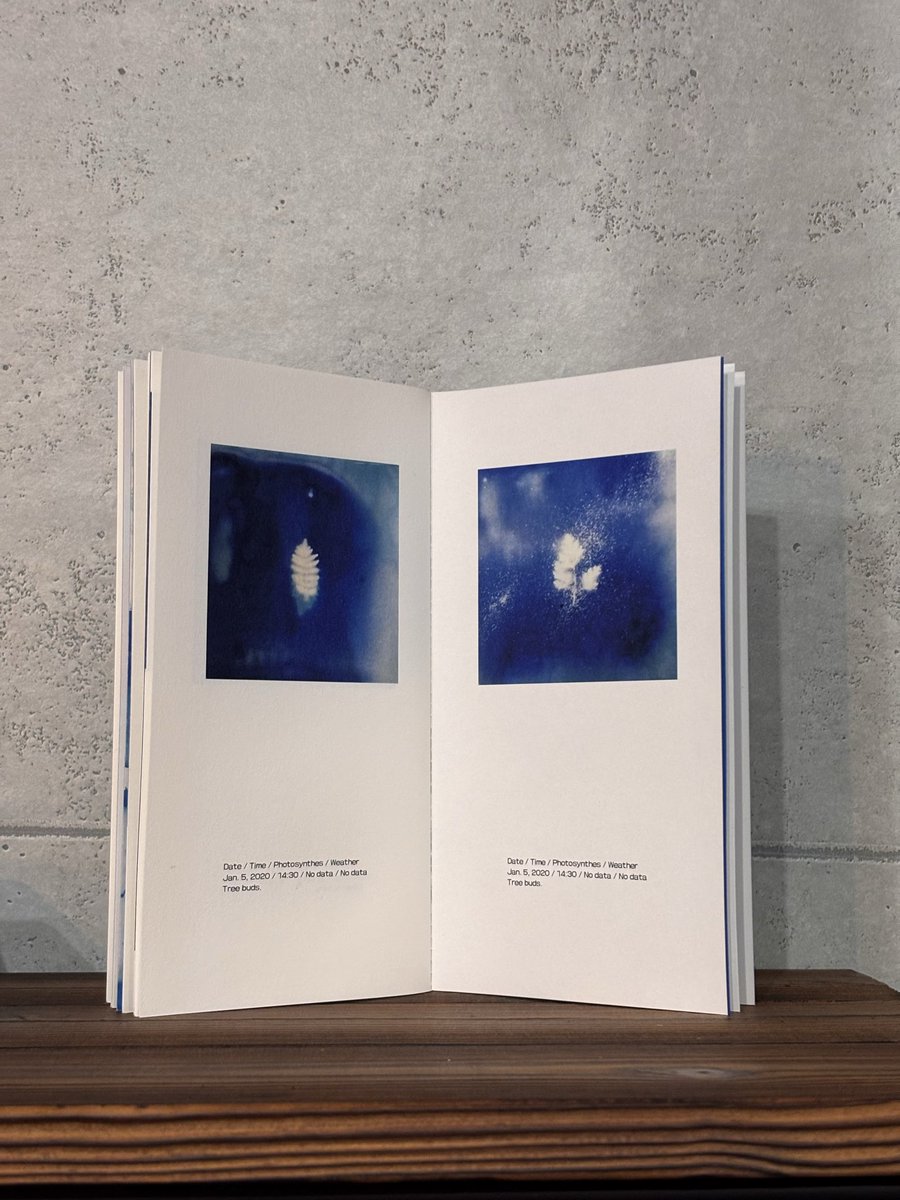 blooks9's tweet photo. 「森と風文庫」出展作品のご紹介：
作家：Kiiro
タイトル：『Cyanotype Blue』

「森と風文庫」
ブースNo.い-43

文学フリマ東京42
2026/5/4（月）12:00～17:00
・会場：東京ビッグサイト 南1-4
ホール
https://t.co/WtL8krwH3X
#文学フリマ東京 https://t.co/vIQ5Qa0rqN