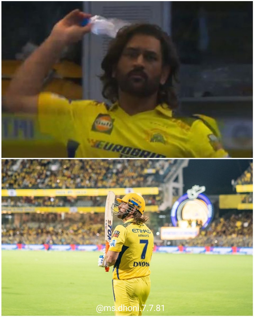 MS DHONI FAN tweet media