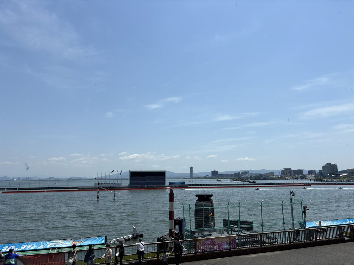 犬 tweet media