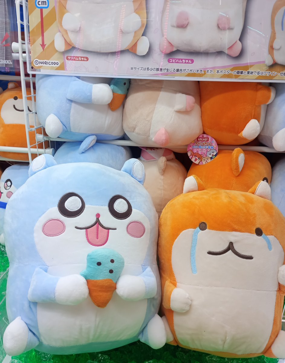 🐹━━━━━━━━━━.𖥔 ݁ ˖ ⁺. #クソハムちゃん
