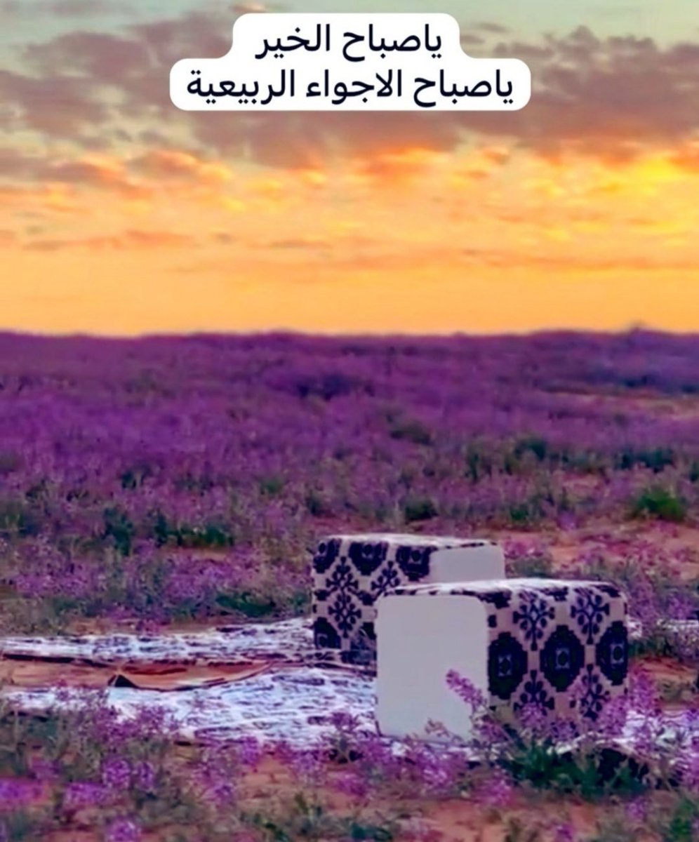 سيف 🇸🇦 tweet media