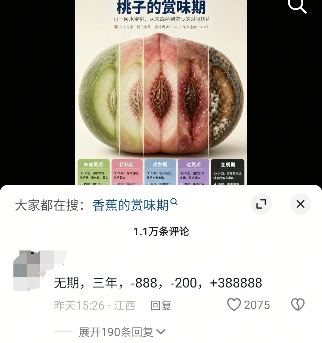 不包番茄籽的番茄 tweet media