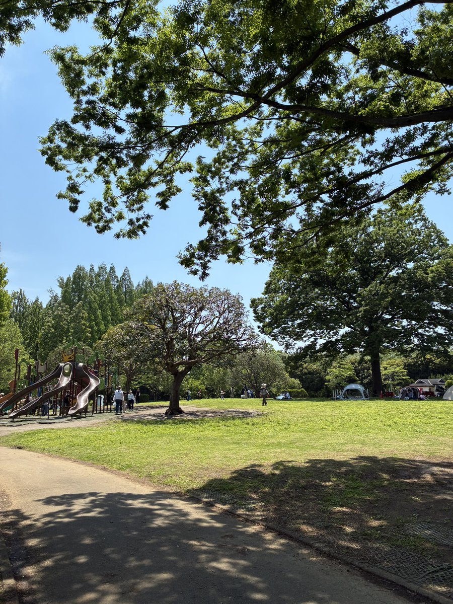 大崎公園【公式】 tweet media