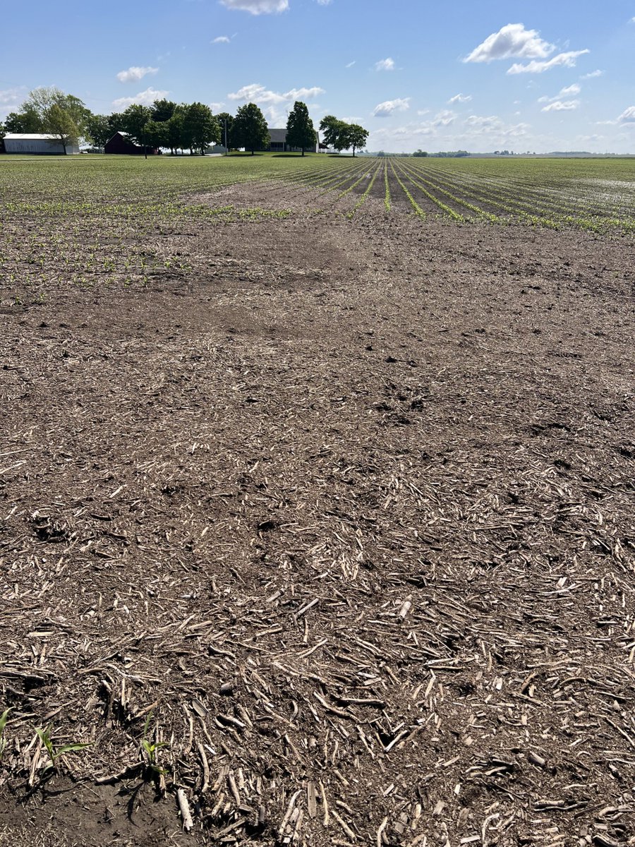 Field Advisor tweet media