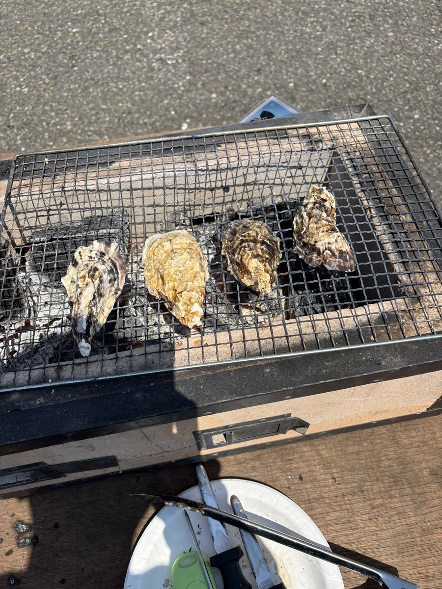 しらたま tweet media