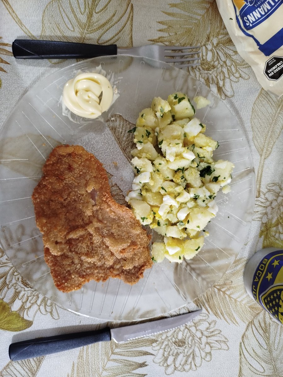 The Milanesa Every Day. tweet media