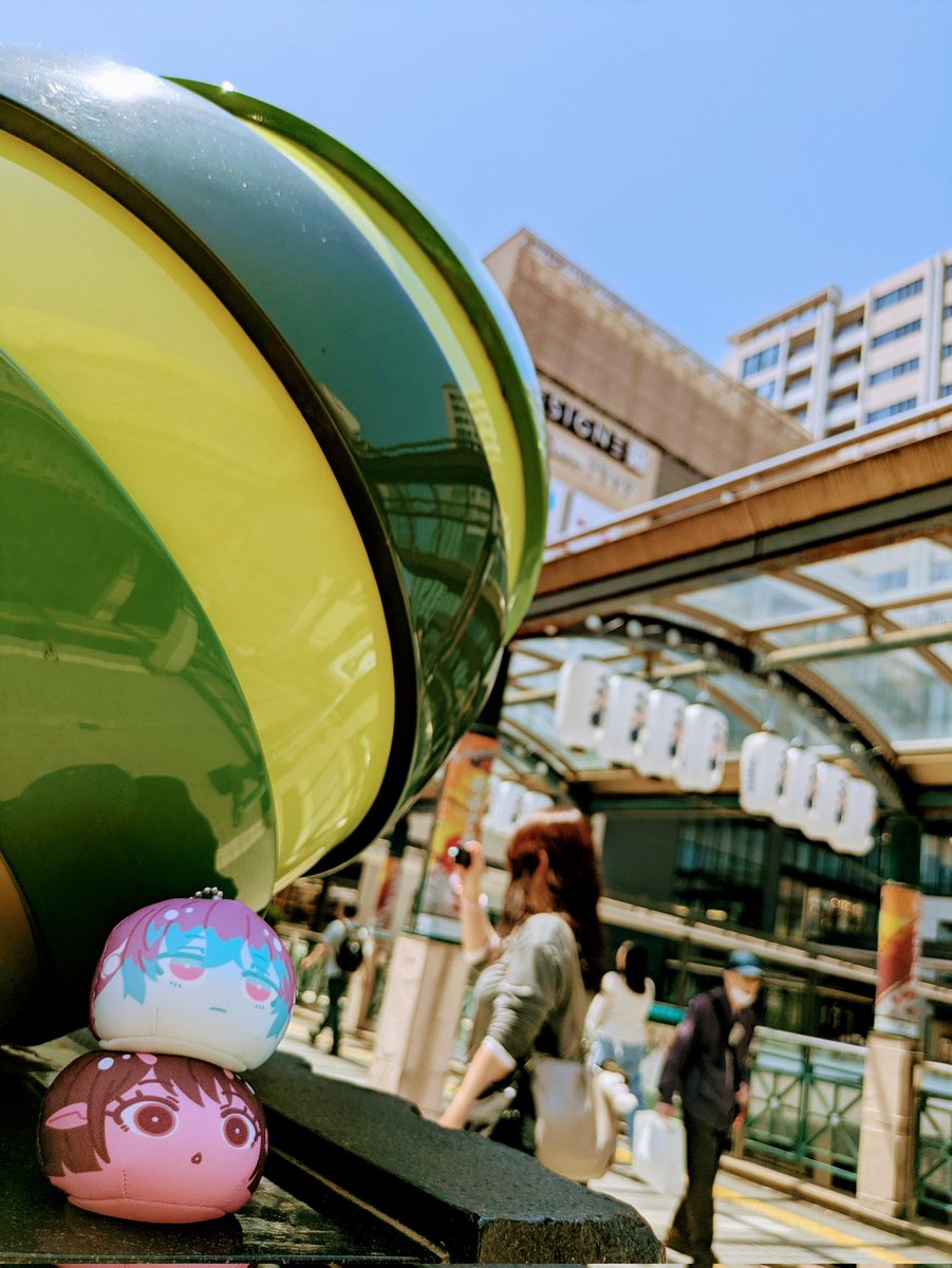 はるあ🏆🐬 tweet media