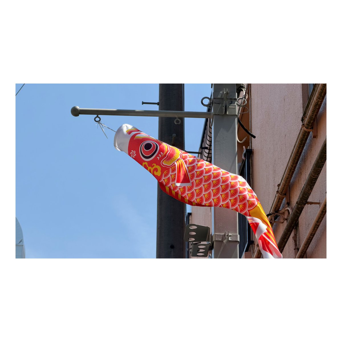 GWですね🐮🎏