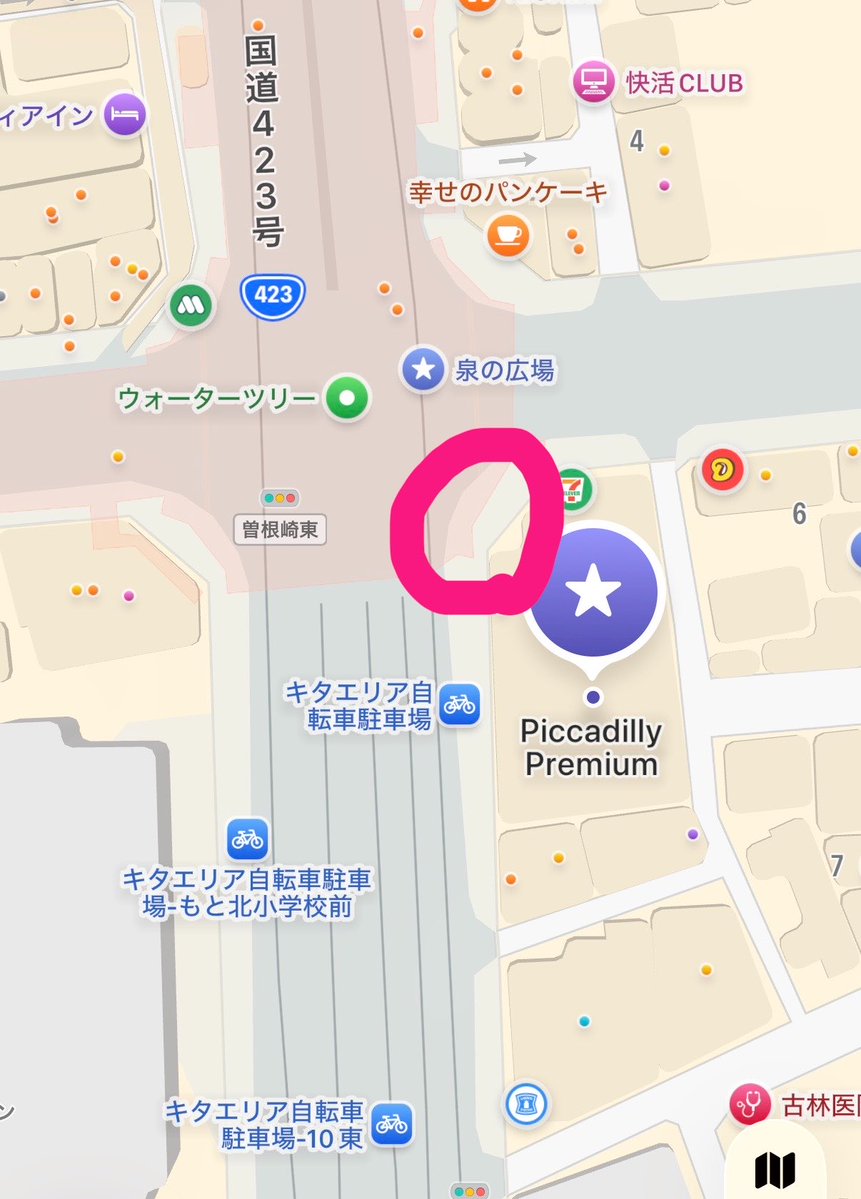 神井花音🪽@5/3 PICCADILLY PREMIUM tweet media