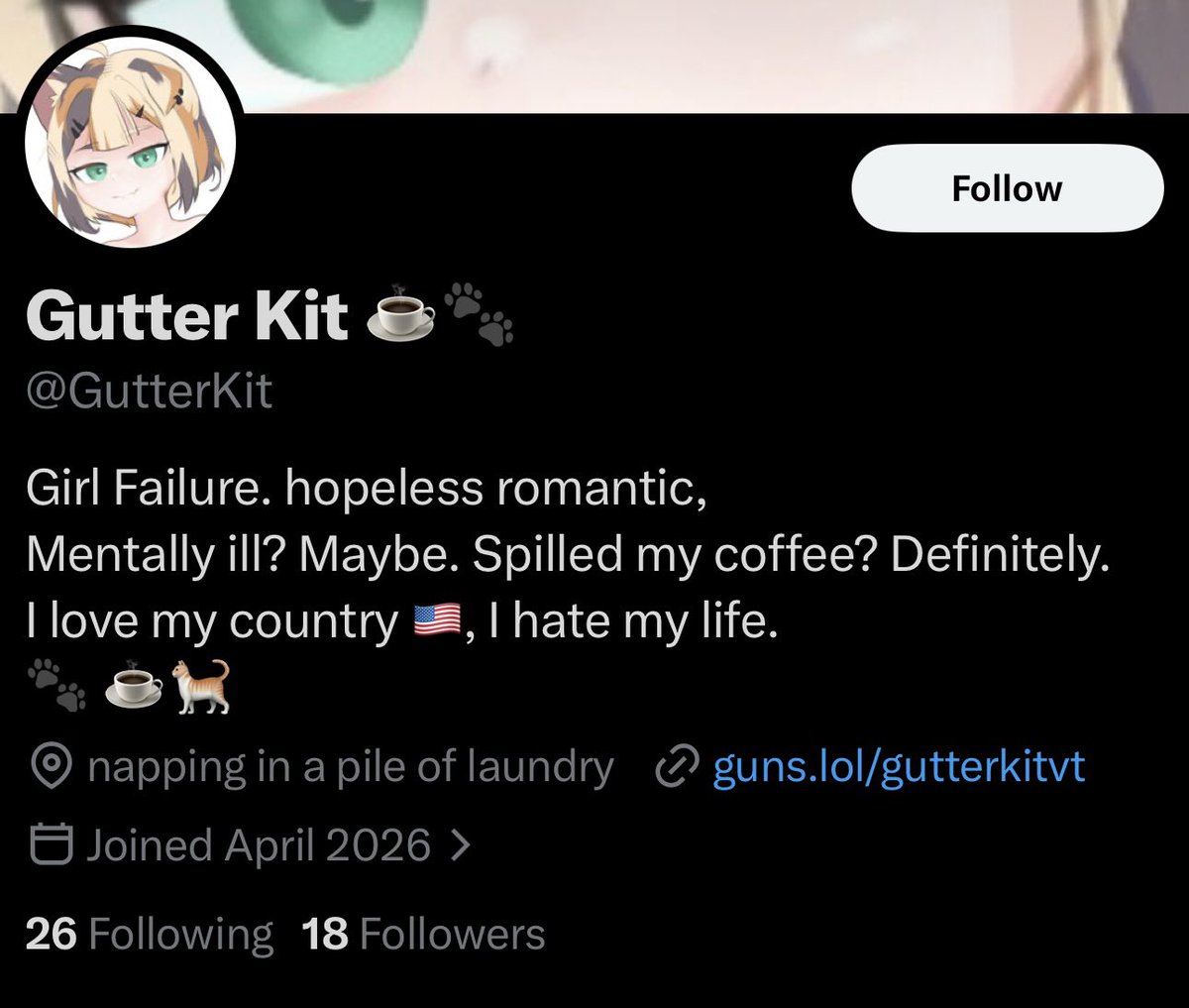 USAgi 🇺🇸 tweet media