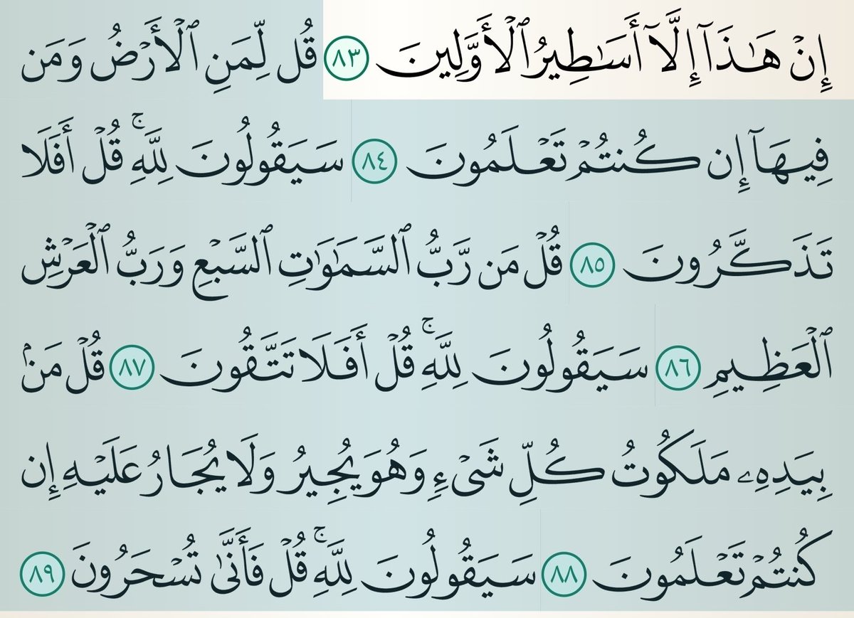 محمد الفرح tweet media