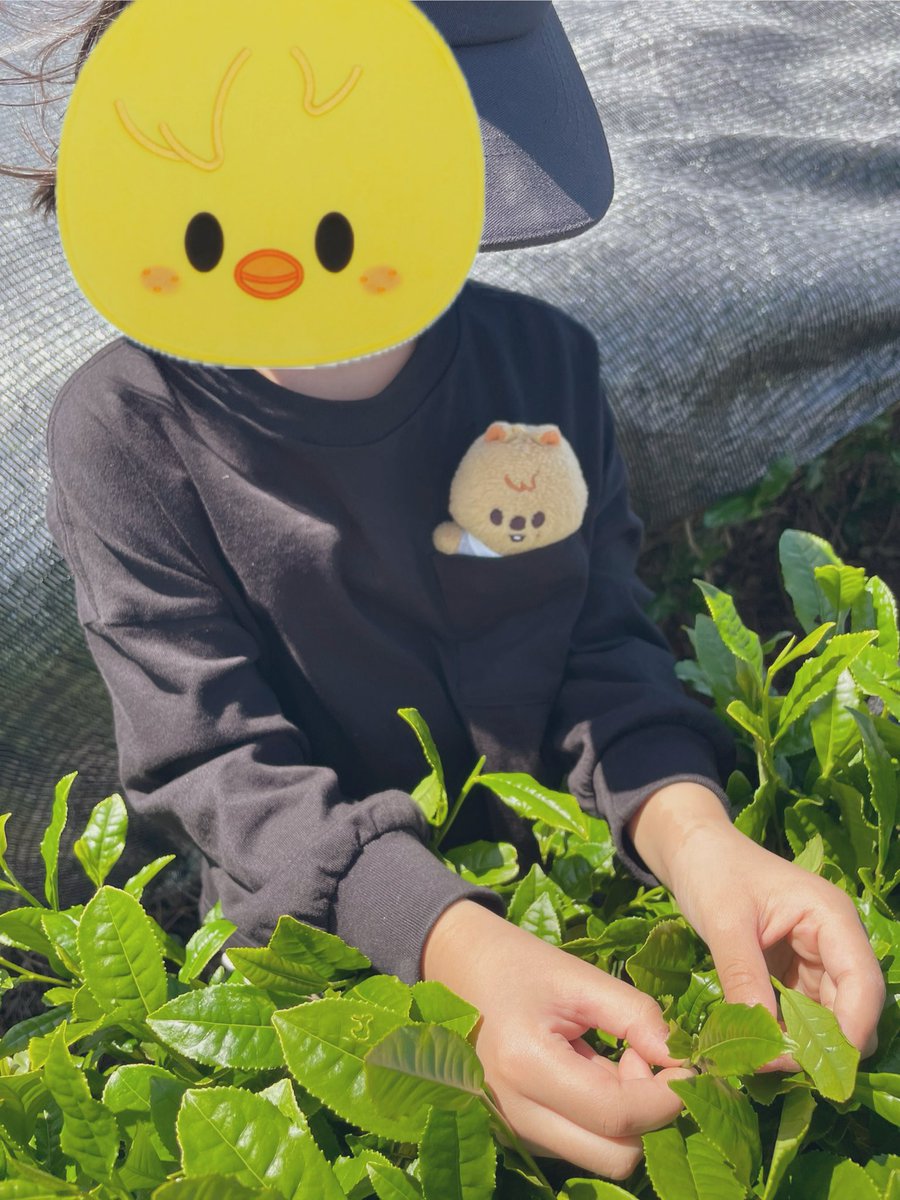 chiha🎸🐿️♪" tweet media