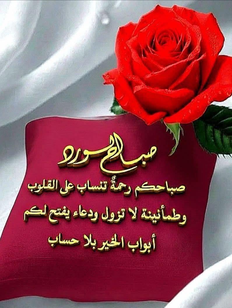 سفير المحبه tweet media