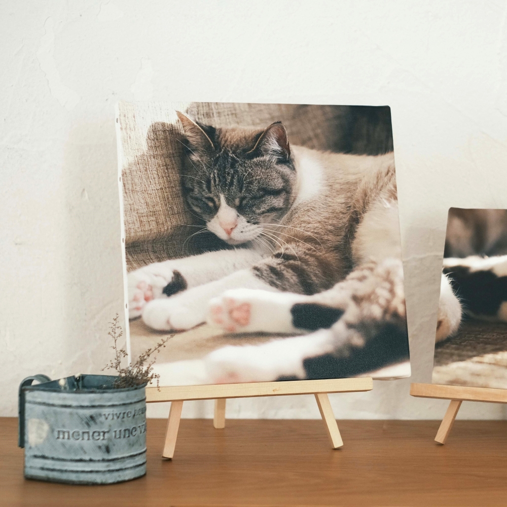 champcamera's tweet image. WALL DECOR🖼　by みすずが丘店

写真をオシャレに飾れるWALL DECOR！
パネルの仕様と写真の面種もお好みのものから選べます！
額に入れた写真とは違い、加工して職人が作るので世界に1つだけのインテリアに(ﾟ∀ﾟ)/

#WALLDECOR #写真パネル加工 #みすずが丘 #あざみ野 #田園都市線