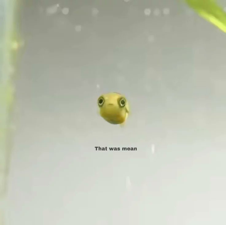 𝐬𝐞𝐫𝐞𝐧𝐞 .ᐟ tweet media