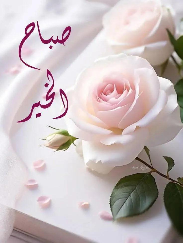 نسايم tweet media