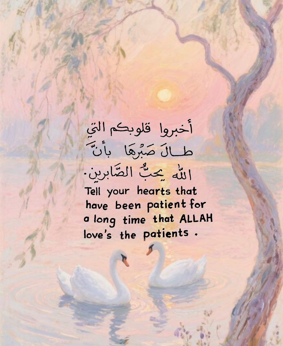 فــذكِّر tweet media