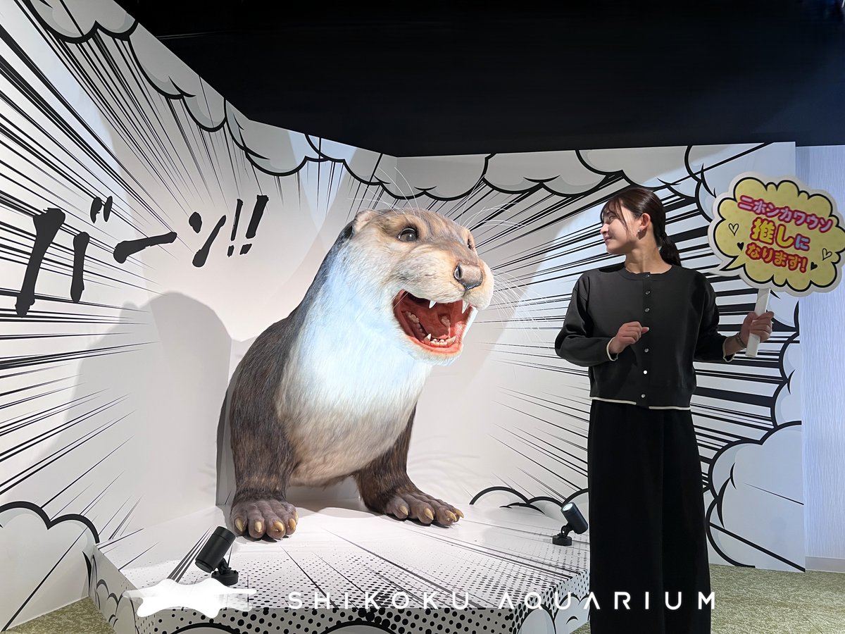 四国水族館 【公式】 tweet media