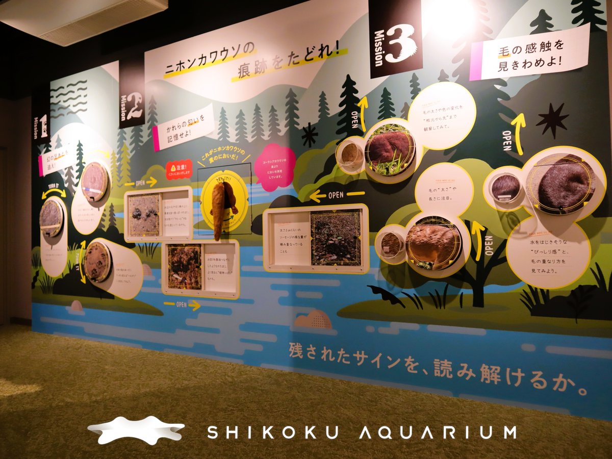 四国水族館 【公式】 tweet media