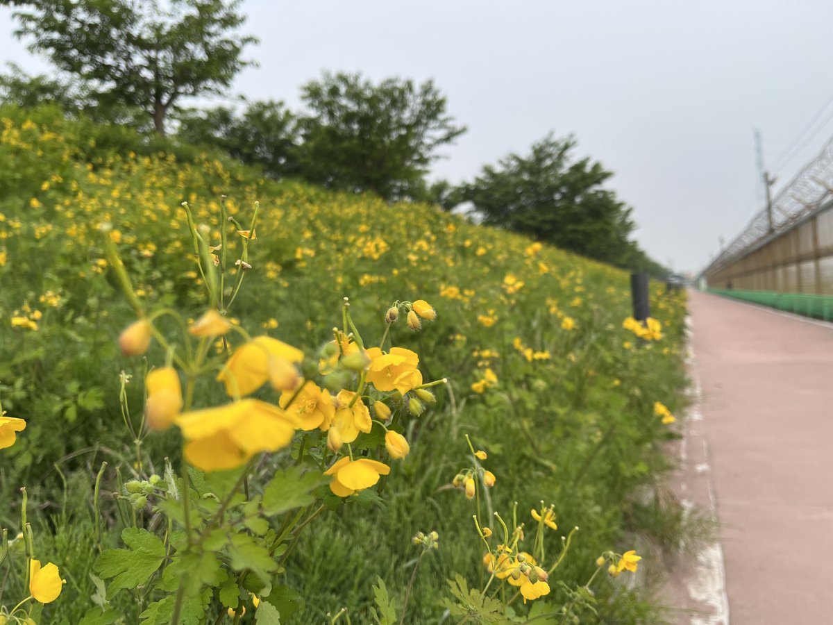 연 tweet media