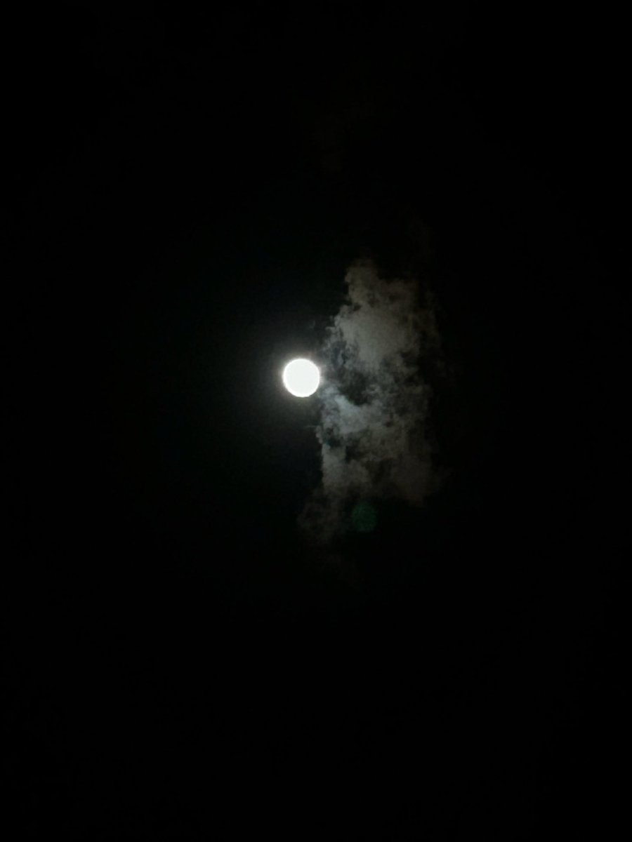 isotta_m's tweet photo. Luna in Scorpione in 8* casa.
#FullMoonDay https://t.co/VpyOnYdXNm