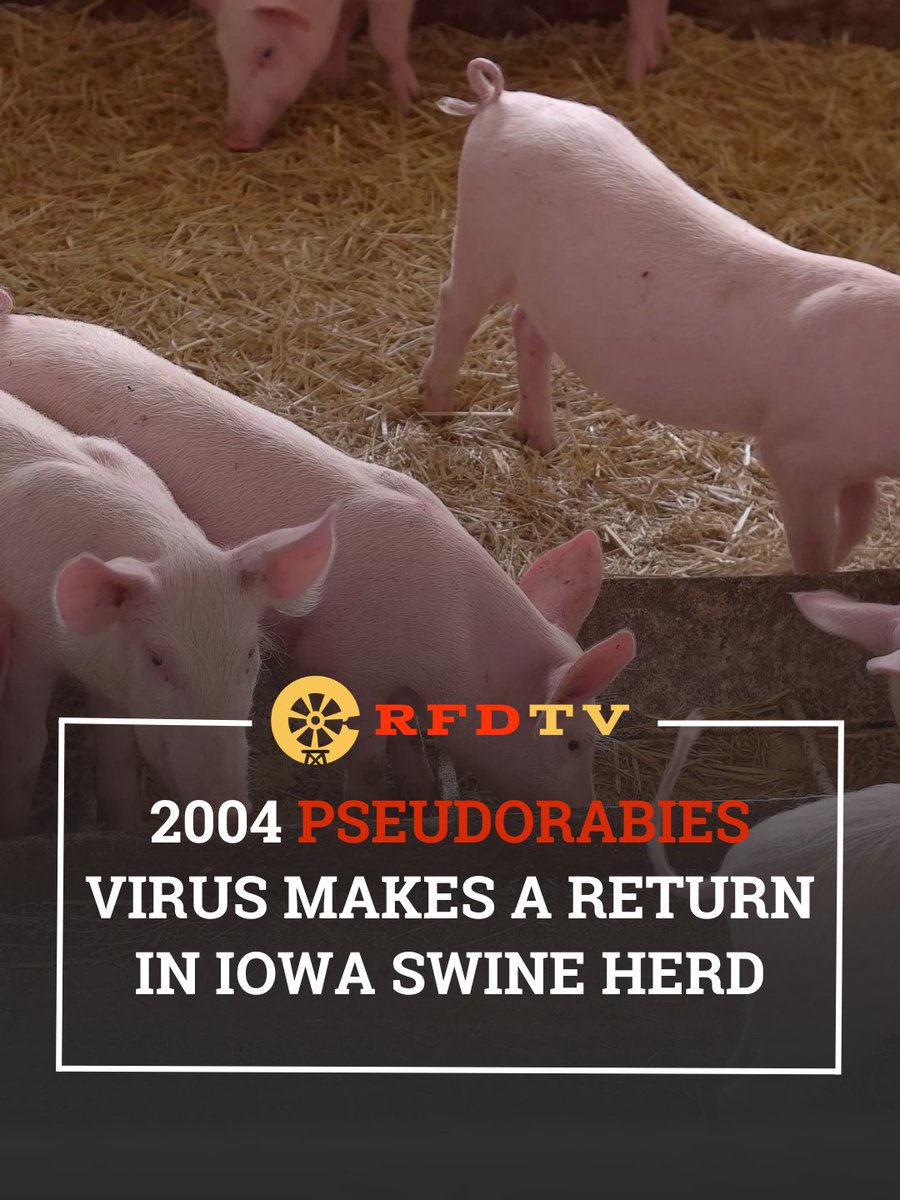 RFD-TV tweet media