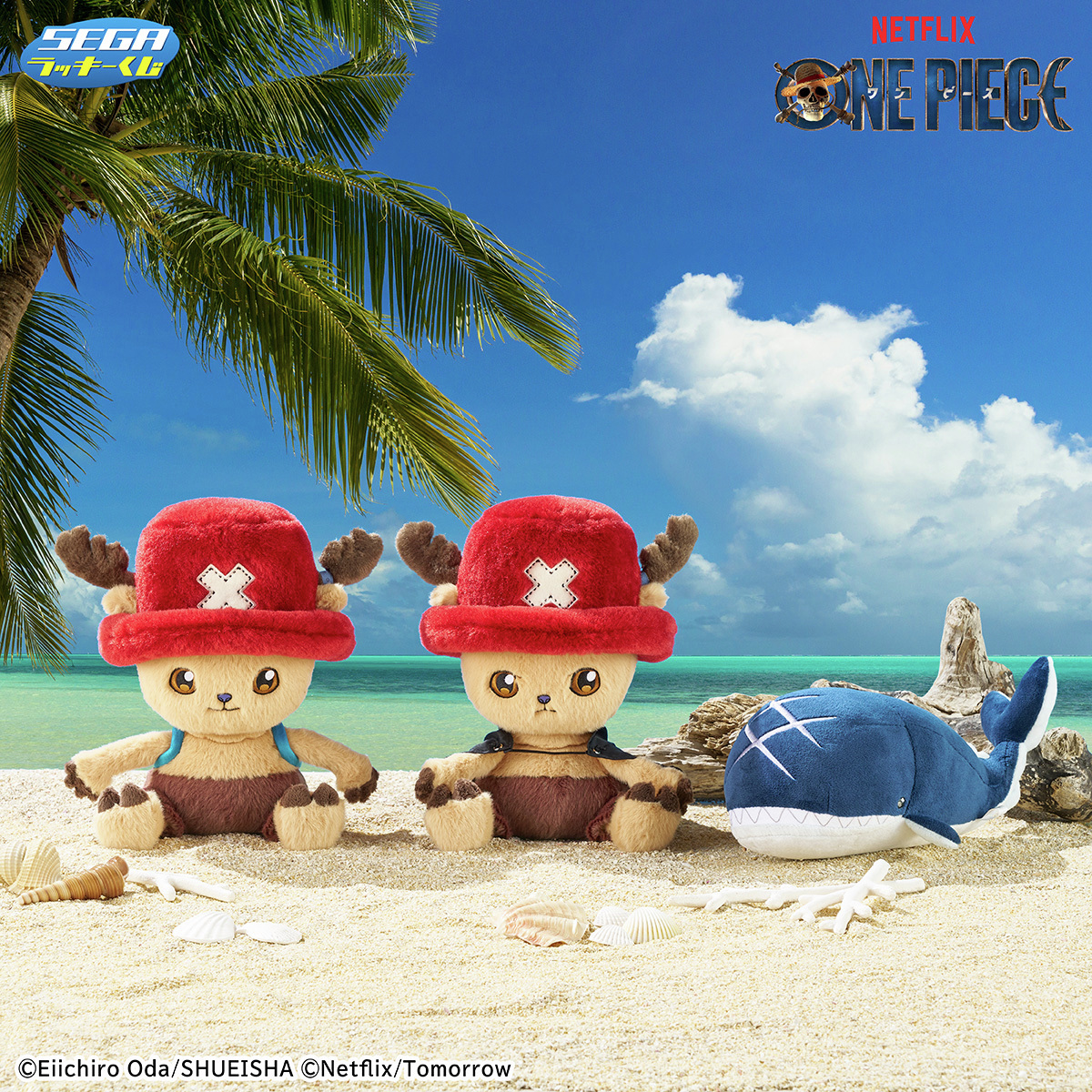🌸本日発売🌸 セガ ラッキーくじ Netflixシリーズ「ONE PIECE