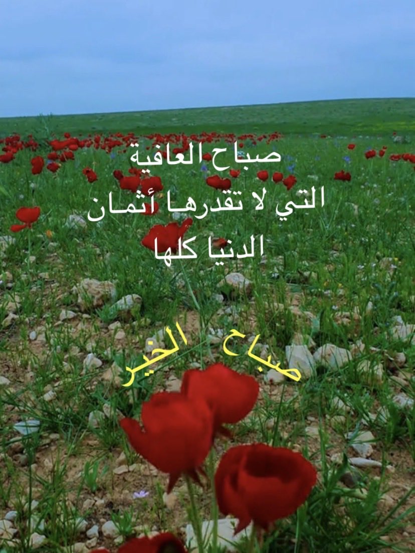 أبو بيداء العنزي tweet media