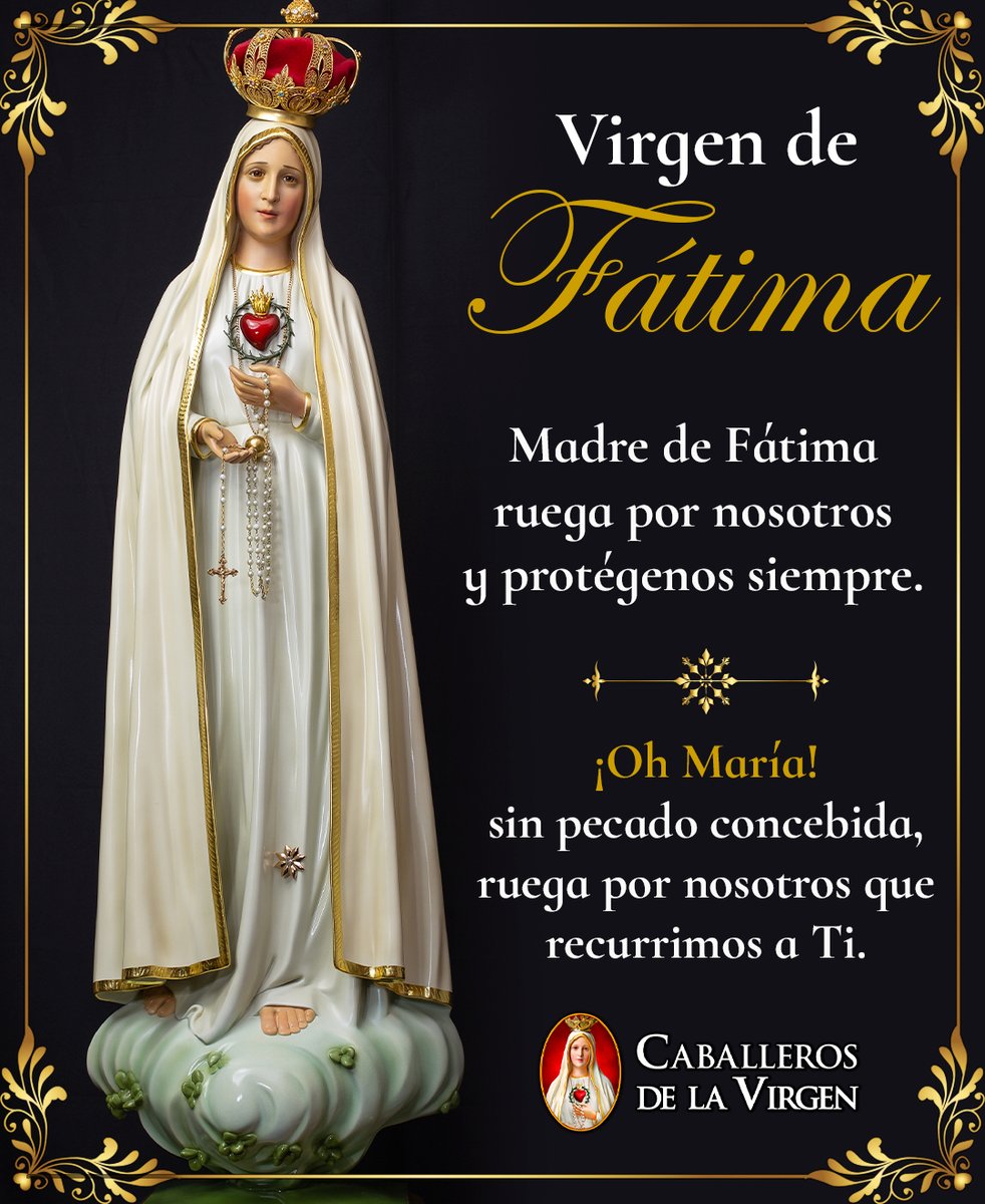 Caballeros de la Virgen tweet media