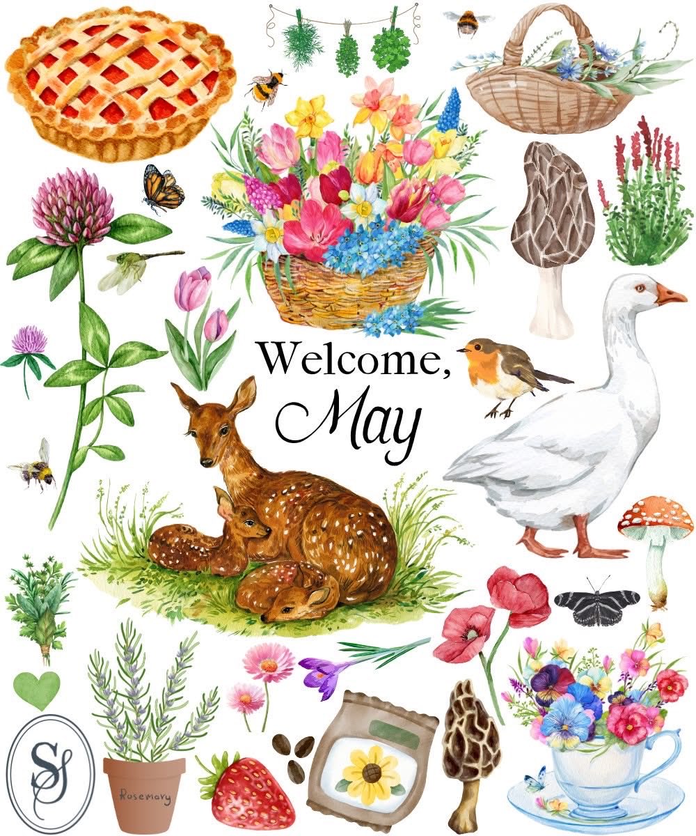Slow Simple Seasonal (@slowsimplehome) / Posts / X