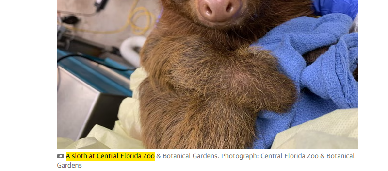 esoteric monkey tweet media