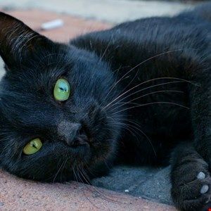 omvapt's tweet image. Two #Cybersecurity Workers Jailed for #BlackCat #Ransomware Attacks 
buff.ly/dVSTfoK